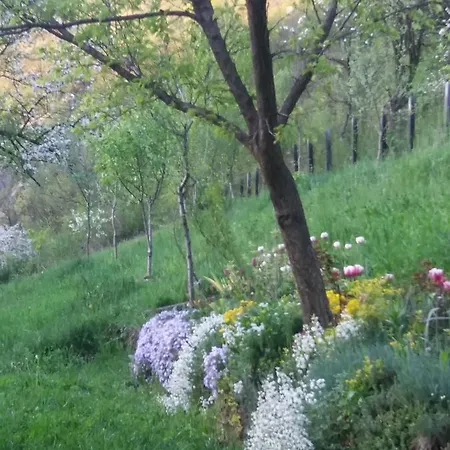 Nyaraló Piramida Mjeseca 2