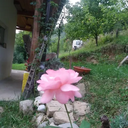 Nyaraló Piramida Mjeseca 2 *